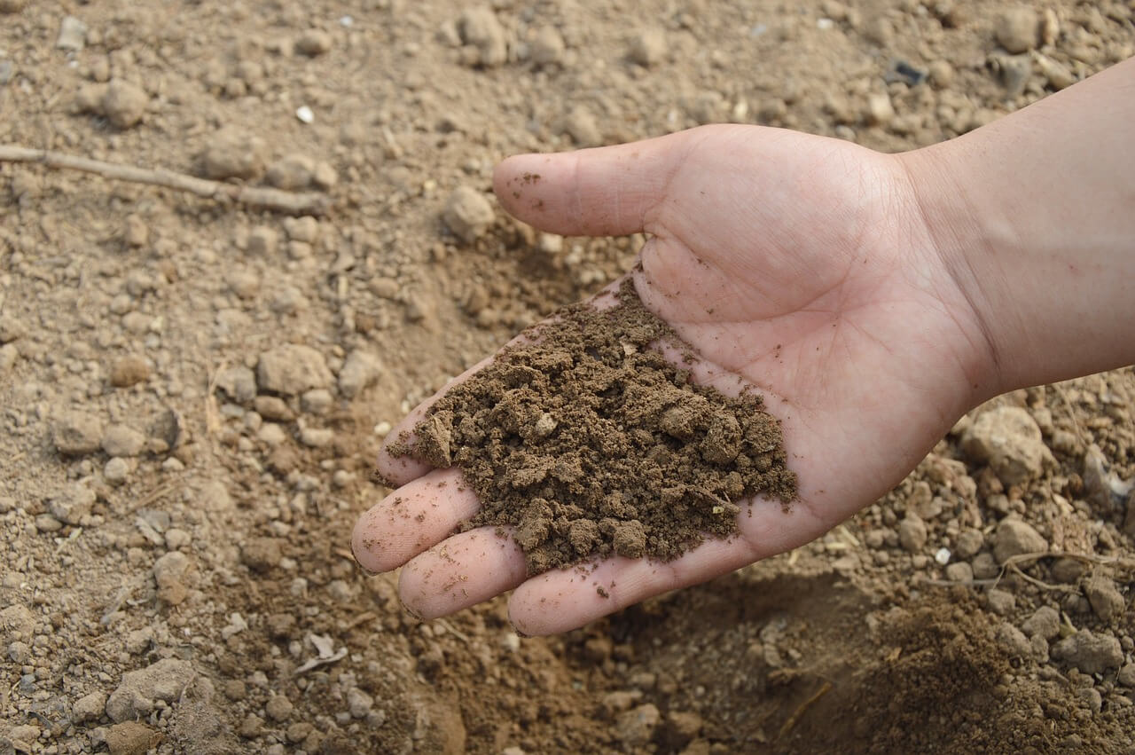 Jak zwiększyć wilgotność gleby? Jaka jest prawidłowa wilgotność gleby?