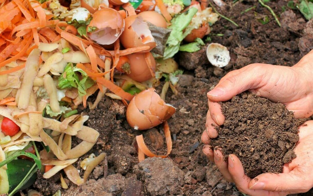 Jakie nawozy stosować żeby nie szkodzić glebie? Nawozy naturalne i organiczne
