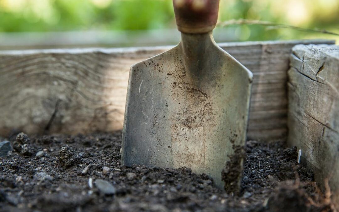 Jak uzupełnić potas w glebie?