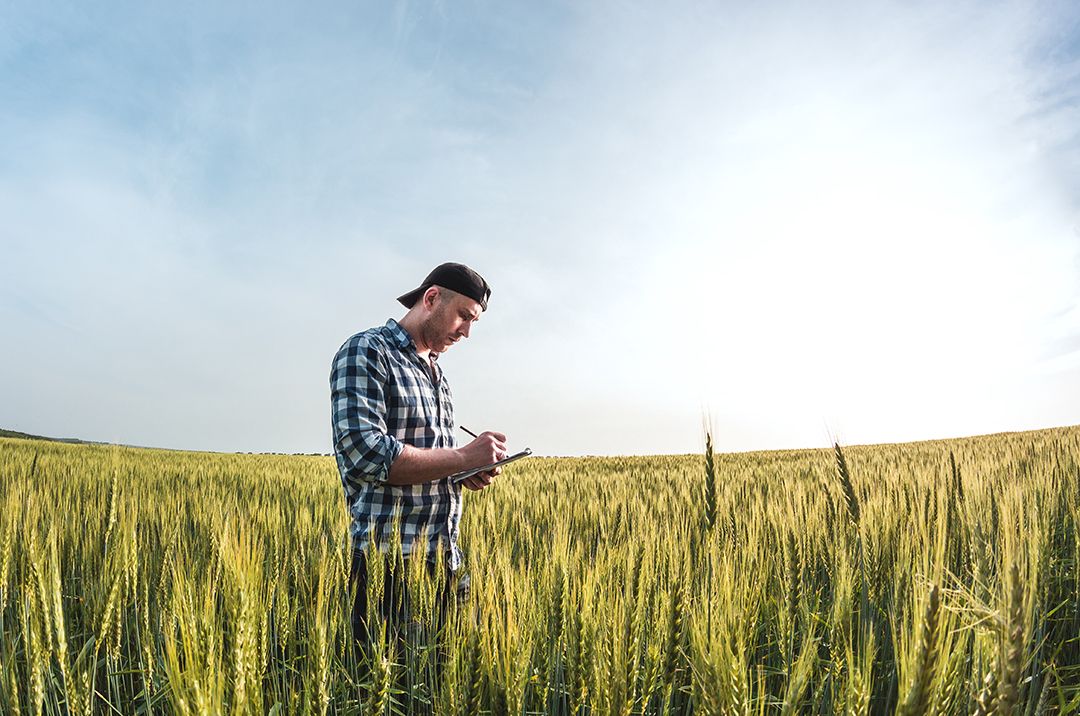 Dlaczego wymóg raportowania ESG ma istotne znaczenie dla rolników?